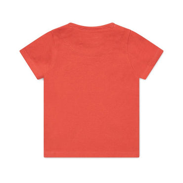 Boys Nigel T-shirt ss Bio Cotton - Kool KidsKOKO NOKOKool KidsWN816Boys Nigel T-shirt ss Bio Cotton2 Años