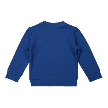 Boys Sweater ls - Kool KidsDIRK JEANSKool KidsF40670 - 35Boys Sweater ls6 MESES