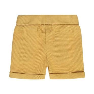 Short de Algodón Mostaza con Textura para Niño - Kool KidsDIRKJEKool KidsN58692-3MShort de Algodón Mostaza con Textura para Niño3 MesesCamel8720815597145