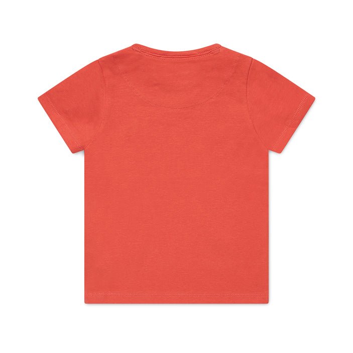 Boys Nigel T-shirt ss Bio Cotton - Kool KidsKOKO NOKOKool KidsWN816Boys Nigel T-shirt ss Bio Cotton2 Años