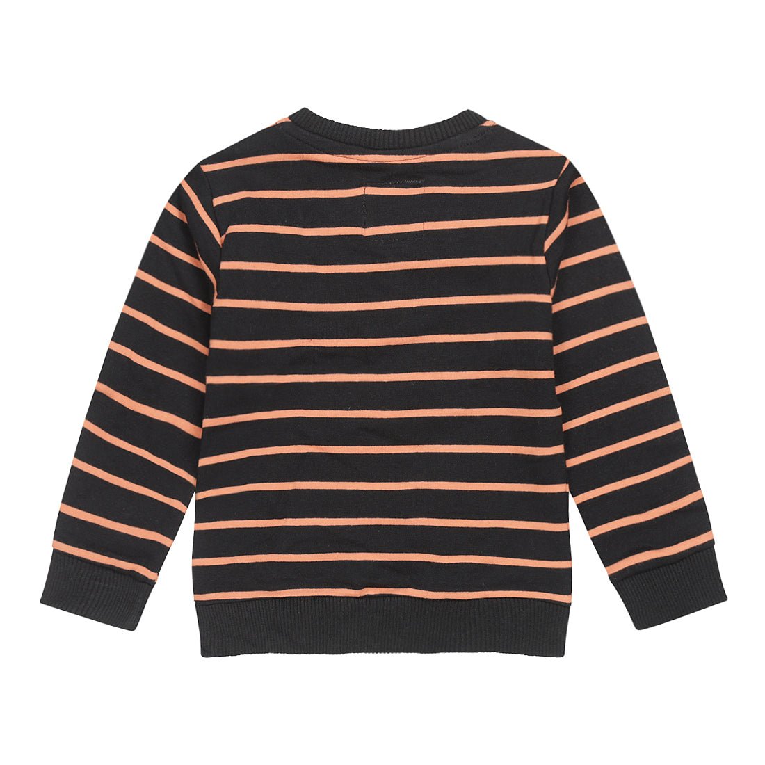 Boys Sweater ls with Crewneck - Kool KidsKOKO NOKOKool KidsU44845 - 37COABoys Sweater ls with Crewneck6 Meses