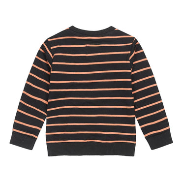 Boys Sweater ls with Crewneck - Kool KidsKOKO NOKOKool KidsU44845 - 37COABoys Sweater ls with Crewneck6 Meses