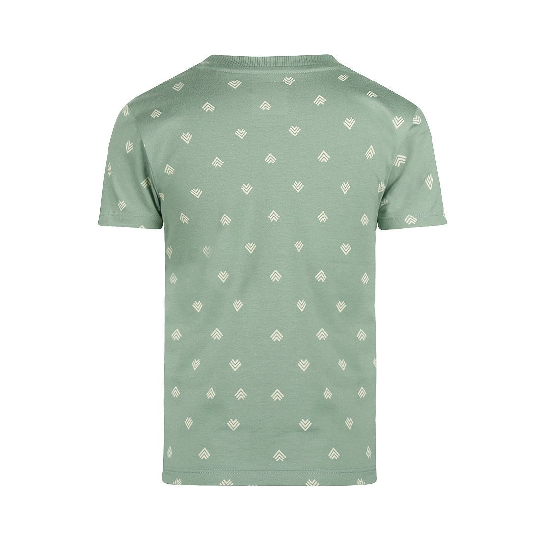 Playera de Algodón Verde Full Print de Flechas para Niño - Kool KidsKOKO NOKOKool KidsN58841-4YPlayera de Algodón Verde Full Print de Flechas para Niño4 AñosVerde Salvia8720815602436